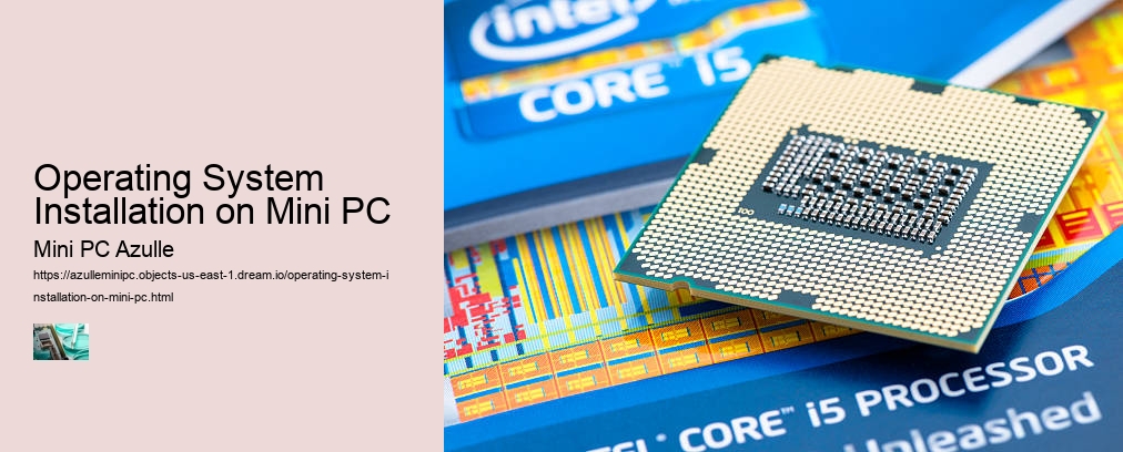 Operating System Installation on Mini PC